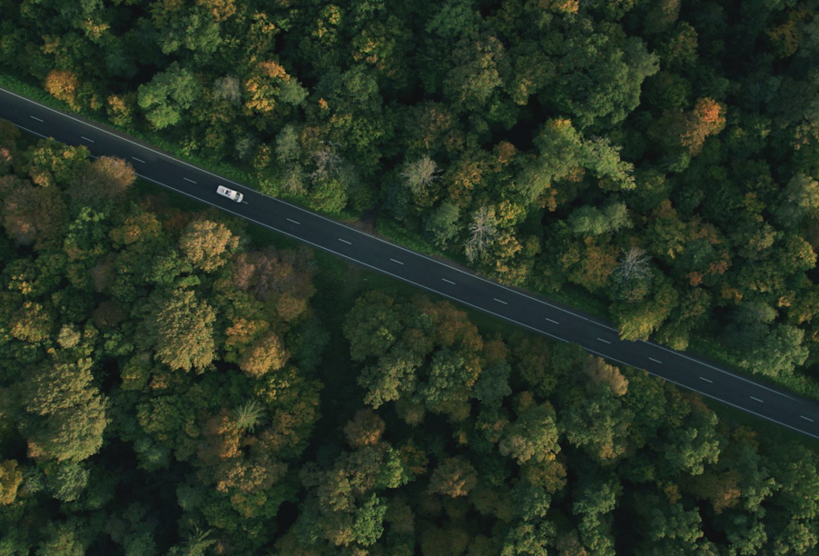 In the Kaliningrad region, about 200 km of highways were repaired under the national project